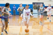 Basketball: Tuscola at West Henderson (BR3_5580)