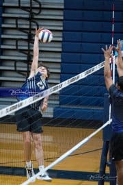 Boys Volleyball - North Henderson at TC Roberson (BR3_0017)