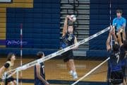 Boys Volleyball - North Henderson at TC Roberson (BR3_9452)