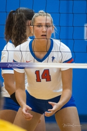 WHHS Girls Volleyball v AC Reynolds