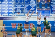 WHHS Girls Volleyball v AC Reynolds