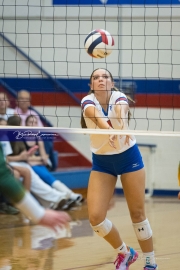 WHHS Girls Volleyball v AC Reynolds