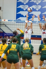 WHHS Girls Volleyball v AC Reynolds