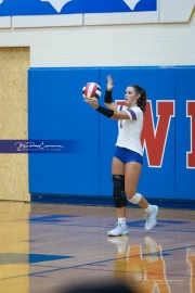 WHHS Girls Volleyball v AC Reynolds