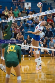 WHHS Girls Volleyball v AC Reynolds