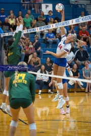 WHHS Girls Volleyball v AC Reynolds