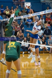 WHHS Girls Volleyball v AC Reynolds