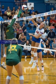 WHHS Girls Volleyball v AC Reynolds