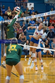 WHHS Girls Volleyball v AC Reynolds