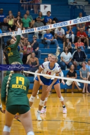 WHHS Girls Volleyball v AC Reynolds