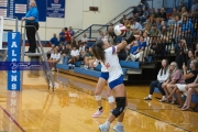 WHHS Girls Volleyball v AC Reynolds