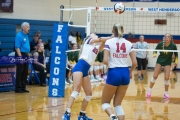 WHHS Girls Volleyball v AC Reynolds