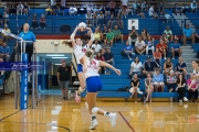 WHHS Girls Volleyball v AC Reynolds