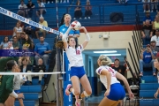 WHHS Girls Volleyball v AC Reynolds