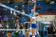 WHHS Girls Volleyball v AC Reynolds