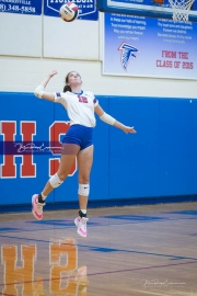 WHHS Girls Volleyball v AC Reynolds