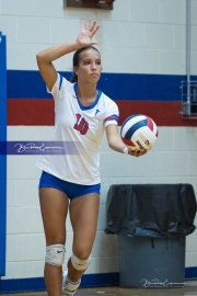 WHHS Girls Volleyball v AC Reynolds