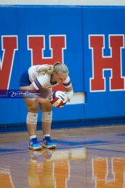 WHHS Girls Volleyball v AC Reynolds