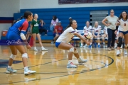 WHHS Girls Volleyball v AC Reynolds