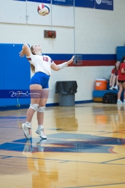 WHHS Girls Volleyball v AC Reynolds