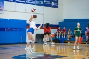 WHHS Girls Volleyball v AC Reynolds