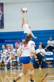 WHHS Girls Volleyball v AC Reynolds