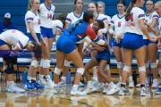 WHHS Girls Volleyball v AC Reynolds