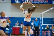 WHHS Girls Volleyball v AC Reynolds