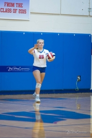 WHHS Girls Volleyball v AC Reynolds