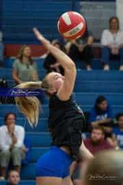 Volleyball: Polk at West Henderson (BR3_5365)