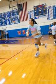 Volleyball: Polk at West Henderson (BR3_5421)