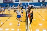 Volleyball: Polk at West Henderson (BR3_5583)