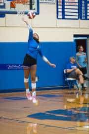 Volleyball: Polk at West Henderson (BR3_5932)