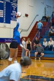 Volleyball: Polk at West Henderson (BR3_6002)