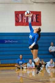 Volleyball: Polk at West Henderson (BR3_6161)