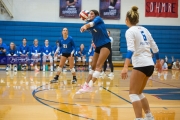 Volleyball: Polk at West Henderson (BR3_6178)