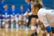 Volleyball: Polk at West Henderson (BR3_6190)