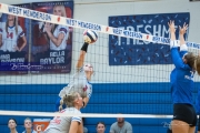 Volleyball: Polk at West Henderson (BR3_6205)