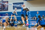 Volleyball: Polk at West Henderson (BR3_6264)