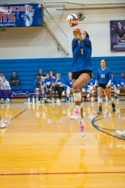 Volleyball: Polk at West Henderson (BR3_6268)