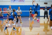 Volleyball: Polk at West Henderson (BR3_6359)