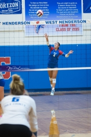 Volleyball: Polk at West Henderson (BR3_6370)