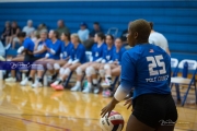 Volleyball: Polk at West Henderson (BR3_6395)