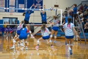 Volleyball: Polk at West Henderson (BR3_6498)