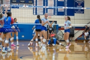 Volleyball: Polk at West Henderson (BR3_6582)