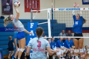 Volleyball: Polk at West Henderson (BR3_6619)