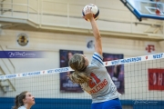 Volleyball: Polk at West Henderson (BR3_6644)