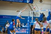 Volleyball: Polk at West Henderson (BR3_6648)