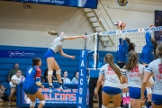 Volleyball: Polk at West Henderson (BR3_6649)