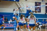 Volleyball: Polk at West Henderson (BR3_6677)